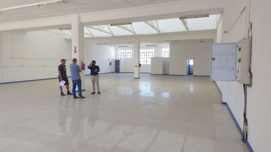 To Let commercial Property for Rent in Observatory Western Cape